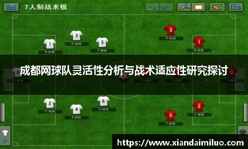 成都网球队灵活性分析与战术适应性研究探讨