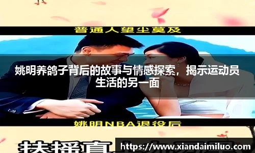 姚明养鸽子背后的故事与情感探索，揭示运动员生活的另一面