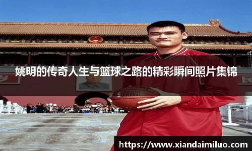 姚明的传奇人生与篮球之路的精彩瞬间照片集锦